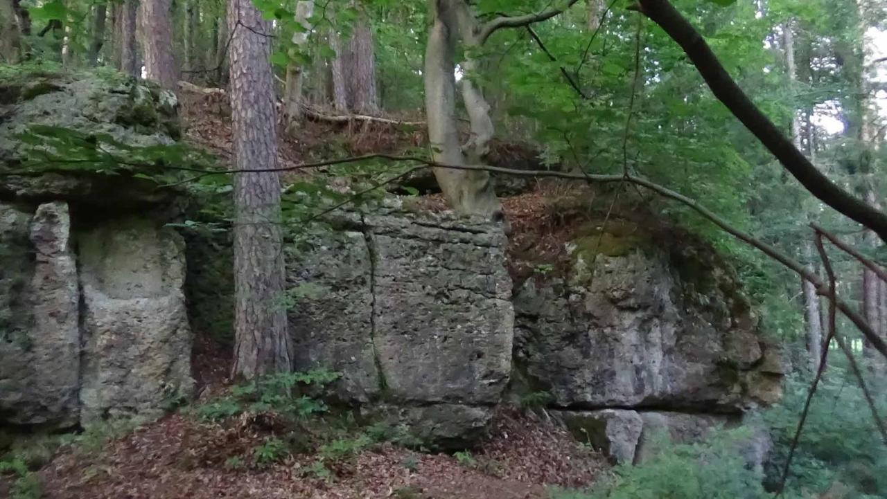 Ferienhaus Zum Berg Neuhaus an der Pegnitz Экстерьер фото